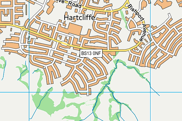 BS13 0NF map - OS VectorMap District (Ordnance Survey)