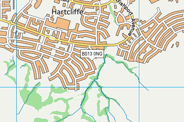 BS13 0NG map - OS VectorMap District (Ordnance Survey)