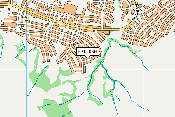 BS13 0NH map - OS VectorMap District (Ordnance Survey)