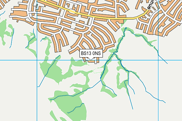 BS13 0NS map - OS VectorMap District (Ordnance Survey)