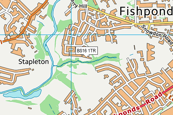 BS16 1TR map - OS VectorMap District (Ordnance Survey)