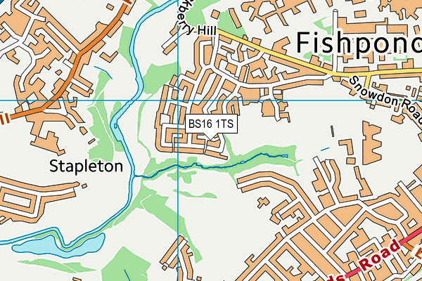 BS16 1TS map - OS VectorMap District (Ordnance Survey)