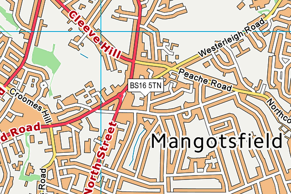 BS16 5TN map - OS VectorMap District (Ordnance Survey)