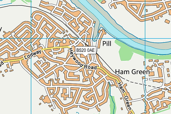 BS20 0AE map - OS VectorMap District (Ordnance Survey)