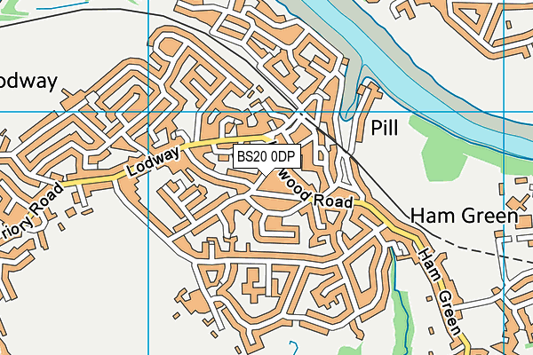 BS20 0DP map - OS VectorMap District (Ordnance Survey)