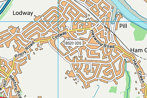 BS20 0DS map - OS VectorMap District (Ordnance Survey)