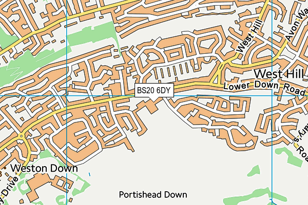 High Down Junior School map (BS20 6DY) - OS VectorMap District (Ordnance Survey)