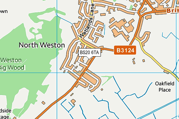 BS20 6TA map - OS VectorMap District (Ordnance Survey)