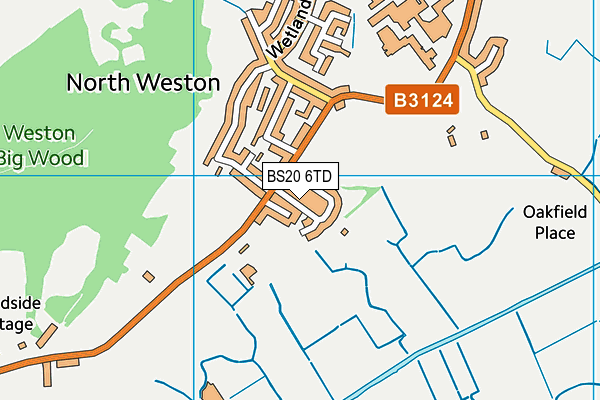 BS20 6TD map - OS VectorMap District (Ordnance Survey)