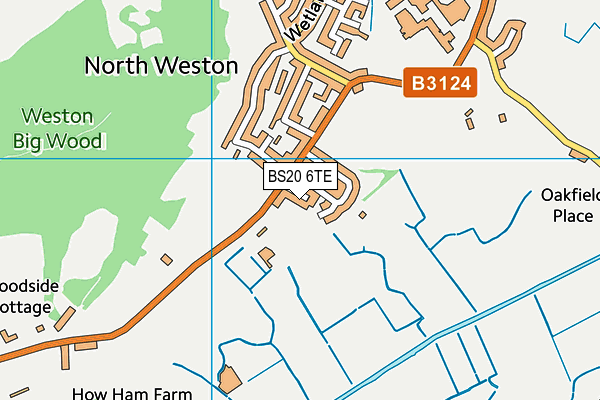 BS20 6TE map - OS VectorMap District (Ordnance Survey)