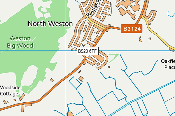 BS20 6TF map - OS VectorMap District (Ordnance Survey)
