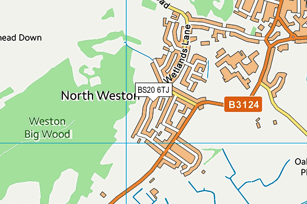 BS20 6TJ map - OS VectorMap District (Ordnance Survey)