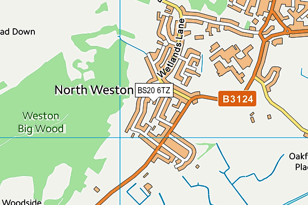 BS20 6TZ map - OS VectorMap District (Ordnance Survey)
