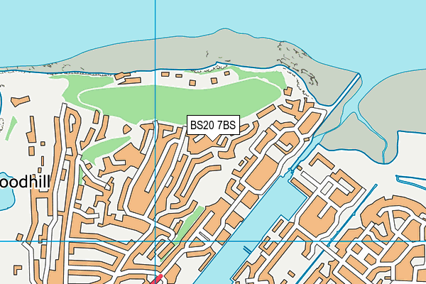 BS20 7BS map - OS VectorMap District (Ordnance Survey)
