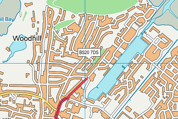 BS20 7DS map - OS VectorMap District (Ordnance Survey)