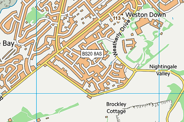 BS20 8AS map - OS VectorMap District (Ordnance Survey)