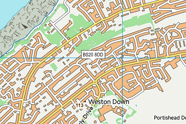 BS20 8DD map - OS VectorMap District (Ordnance Survey)