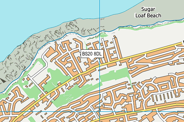 BS20 8DL map - OS VectorMap District (Ordnance Survey)