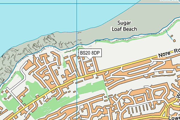 BS20 8DP map - OS VectorMap District (Ordnance Survey)