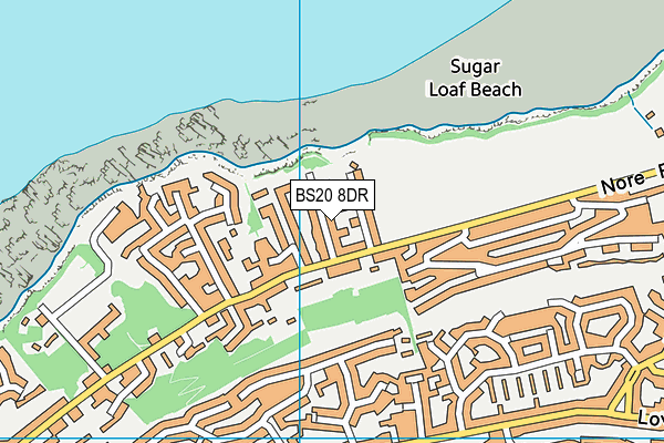 BS20 8DR map - OS VectorMap District (Ordnance Survey)