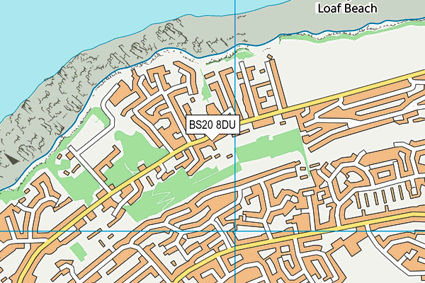 BS20 8DU map - OS VectorMap District (Ordnance Survey)