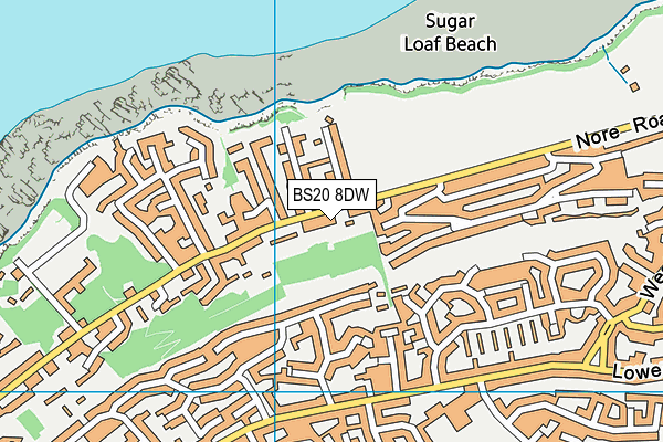 BS20 8DW map - OS VectorMap District (Ordnance Survey)