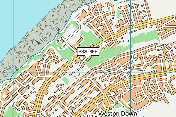 BS20 8EF map - OS VectorMap District (Ordnance Survey)