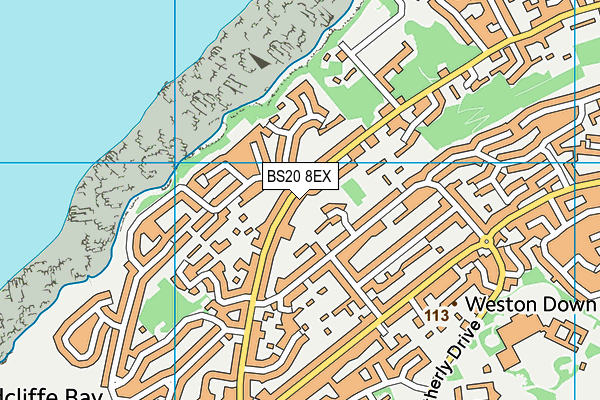BS20 8EX map - OS VectorMap District (Ordnance Survey)