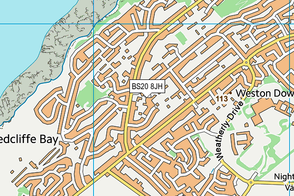 BS20 8JH map - OS VectorMap District (Ordnance Survey)