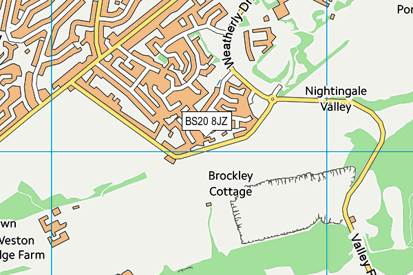 BS20 8JZ map - OS VectorMap District (Ordnance Survey)