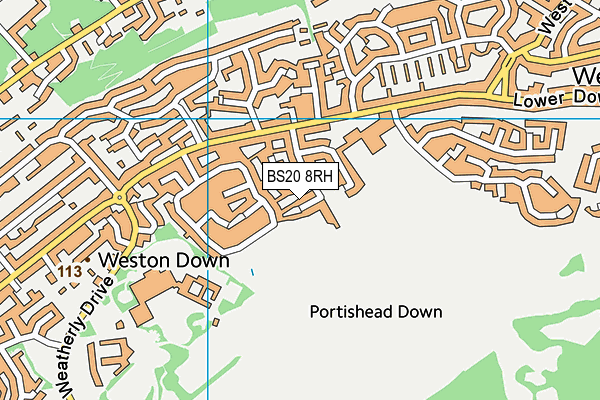 High Down Recreation Ground map (BS20 8RH) - OS VectorMap District (Ordnance Survey)