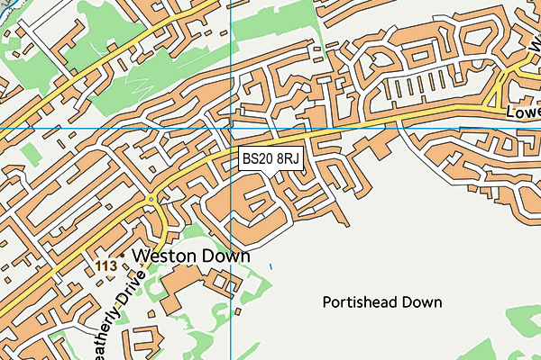 BS20 8RJ map - OS VectorMap District (Ordnance Survey)