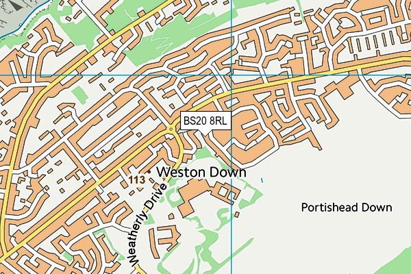 BS20 8RL map - OS VectorMap District (Ordnance Survey)