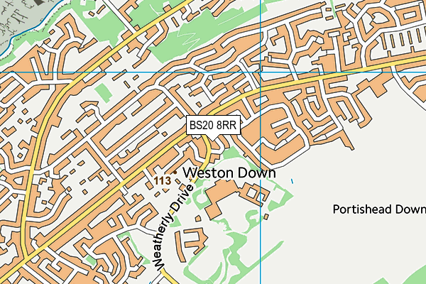 BS20 8RR map - OS VectorMap District (Ordnance Survey)