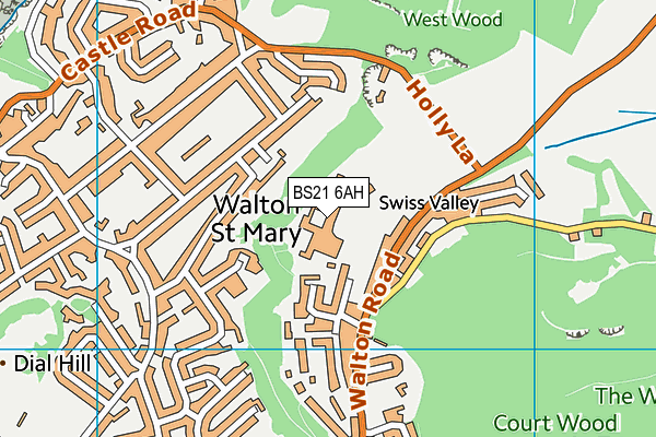 Clevedon School Sports Centre map (BS21 6AH) - OS VectorMap District (Ordnance Survey)