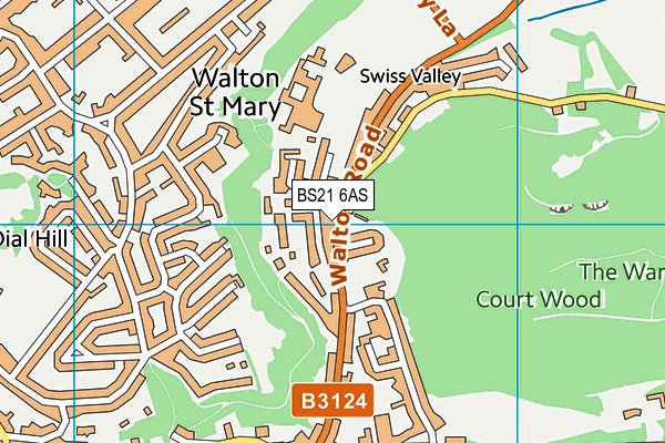 BS21 6AS map - OS VectorMap District (Ordnance Survey)
