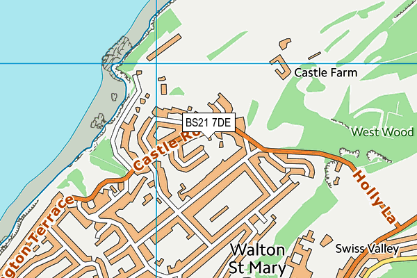 BS21 7DE map - OS VectorMap District (Ordnance Survey)