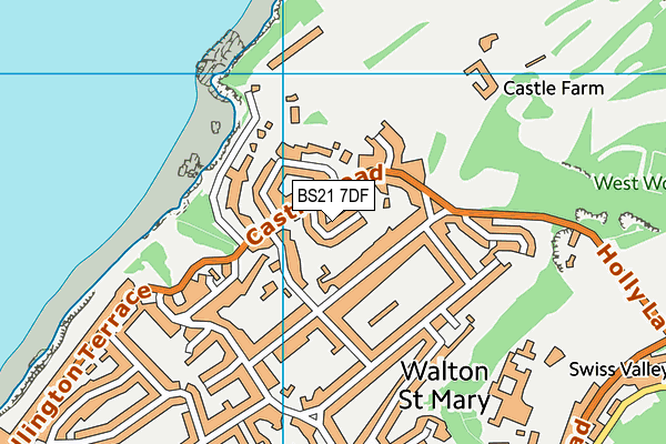 BS21 7DF map - OS VectorMap District (Ordnance Survey)