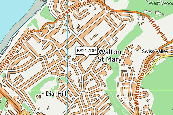 BS21 7DP map - OS VectorMap District (Ordnance Survey)