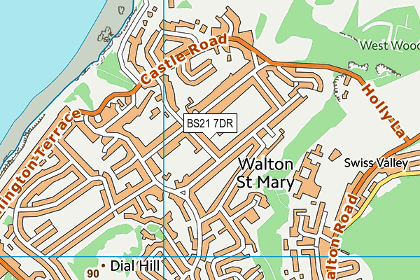 BS21 7DR map - OS VectorMap District (Ordnance Survey)