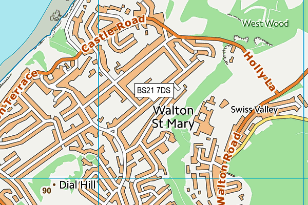 BS21 7DS map - OS VectorMap District (Ordnance Survey)