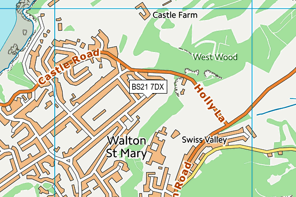 BS21 7DX map - OS VectorMap District (Ordnance Survey)