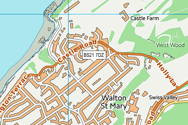 BS21 7DZ map - OS VectorMap District (Ordnance Survey)
