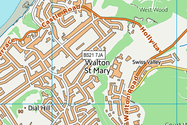 BS21 7JA map - OS VectorMap District (Ordnance Survey)