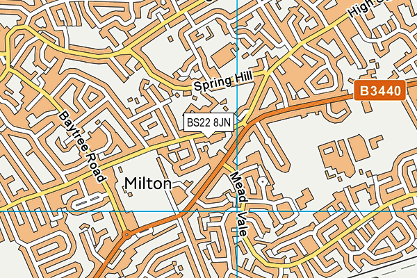 BS22 8JN map - OS VectorMap District (Ordnance Survey)