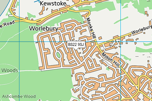 BS22 9SJ map - OS VectorMap District (Ordnance Survey)