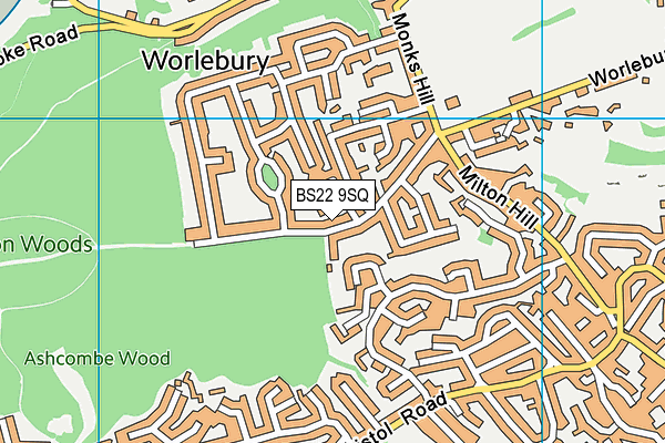 BS22 9SQ map - OS VectorMap District (Ordnance Survey)
