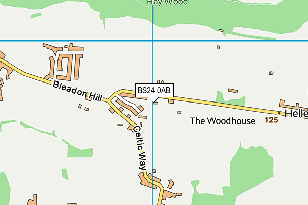 BS24 0AB map - OS VectorMap District (Ordnance Survey)