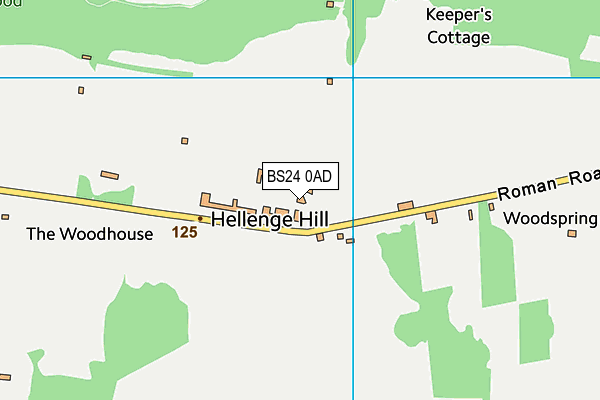 BS24 0AD map - OS VectorMap District (Ordnance Survey)
