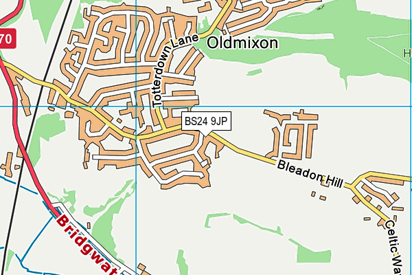 BS24 9JP map - OS VectorMap District (Ordnance Survey)